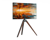 Picasso V2 FT65 Support TV Sur Pied